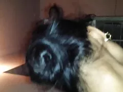 Giovani femmine mostrano il loro donne mature video italiane fascino sulla pista da ballo.